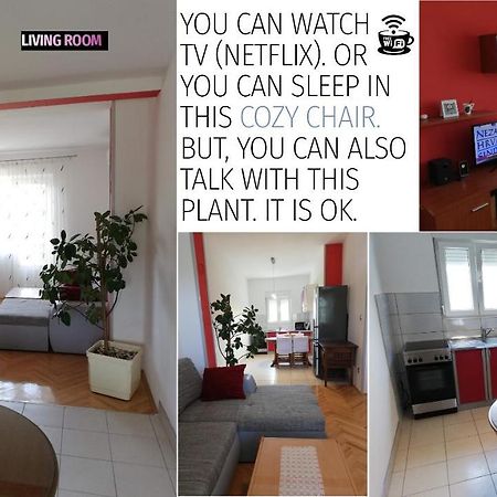 Spacious Family Apartment With Parking In The Shade And Barbecue House 希贝尼克 外观 照片